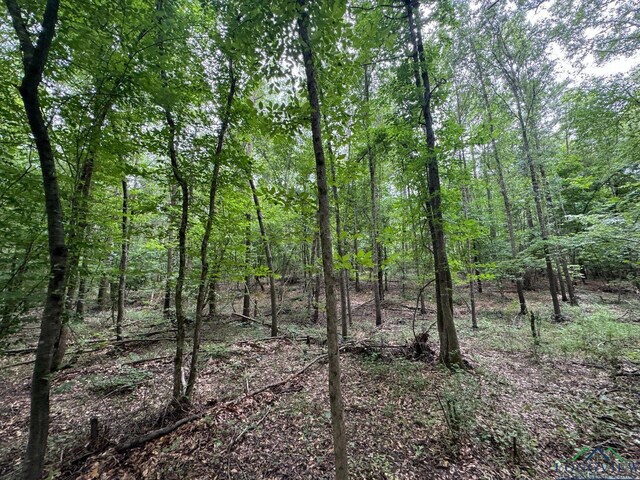 0003 Fm 805, Jefferson, TX 75657 - photo 9