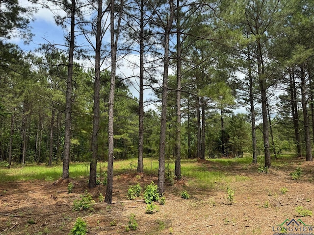 0003 Fm 805, Jefferson, TX 75657 - photo 11