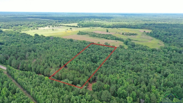 0003 Fm 805, Jefferson, TX 75657 - photo 1