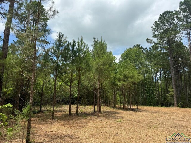 0003 Fm 805, Jefferson, TX 75657 - photo 10