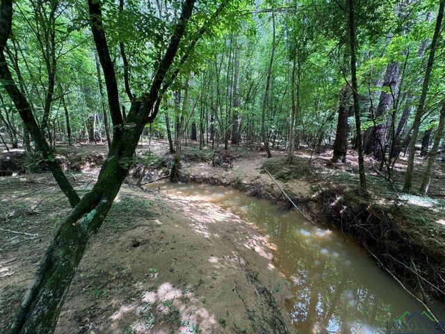 0003 Fm 805, Jefferson, TX 75657 - photo 5