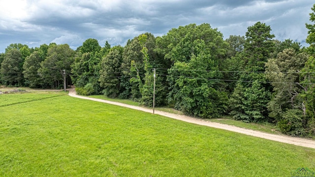 view of property's community featuring a lawn