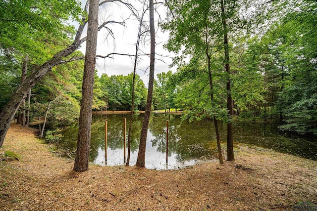 view of water feature