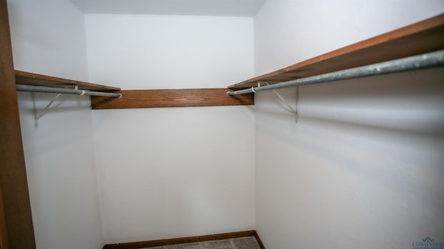 walk in closet with carpet floors