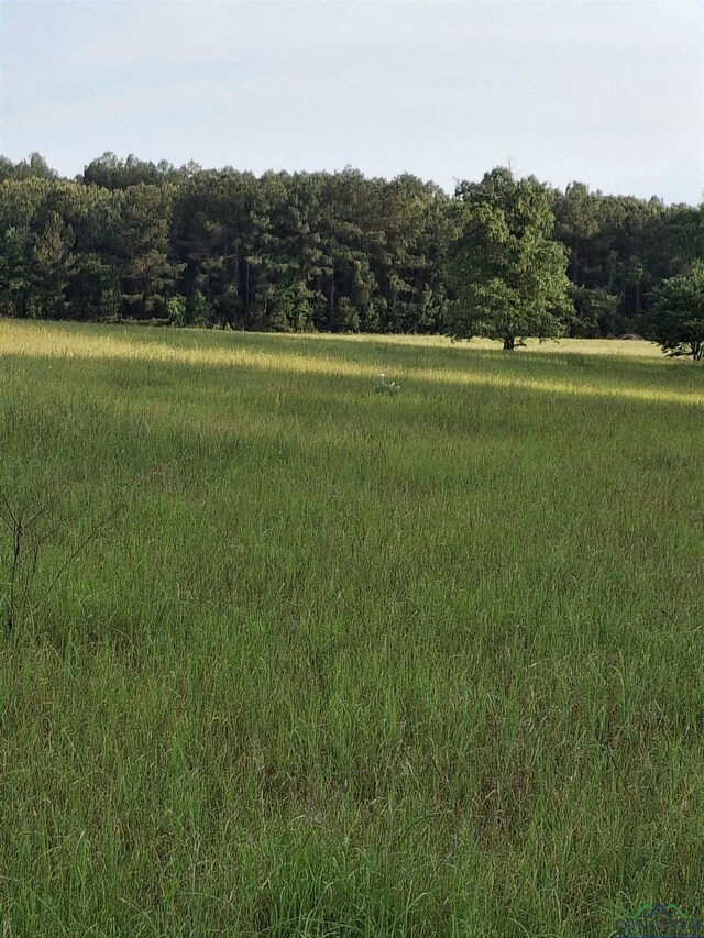 P-15OFF Sh 315, Mount Enterprise, TX 75681 - photo 2