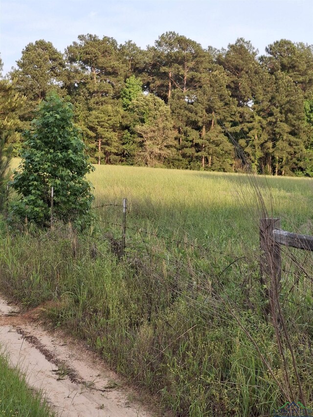 P-15OFF Sh 315, Mount Enterprise, TX 75681 - photo 17