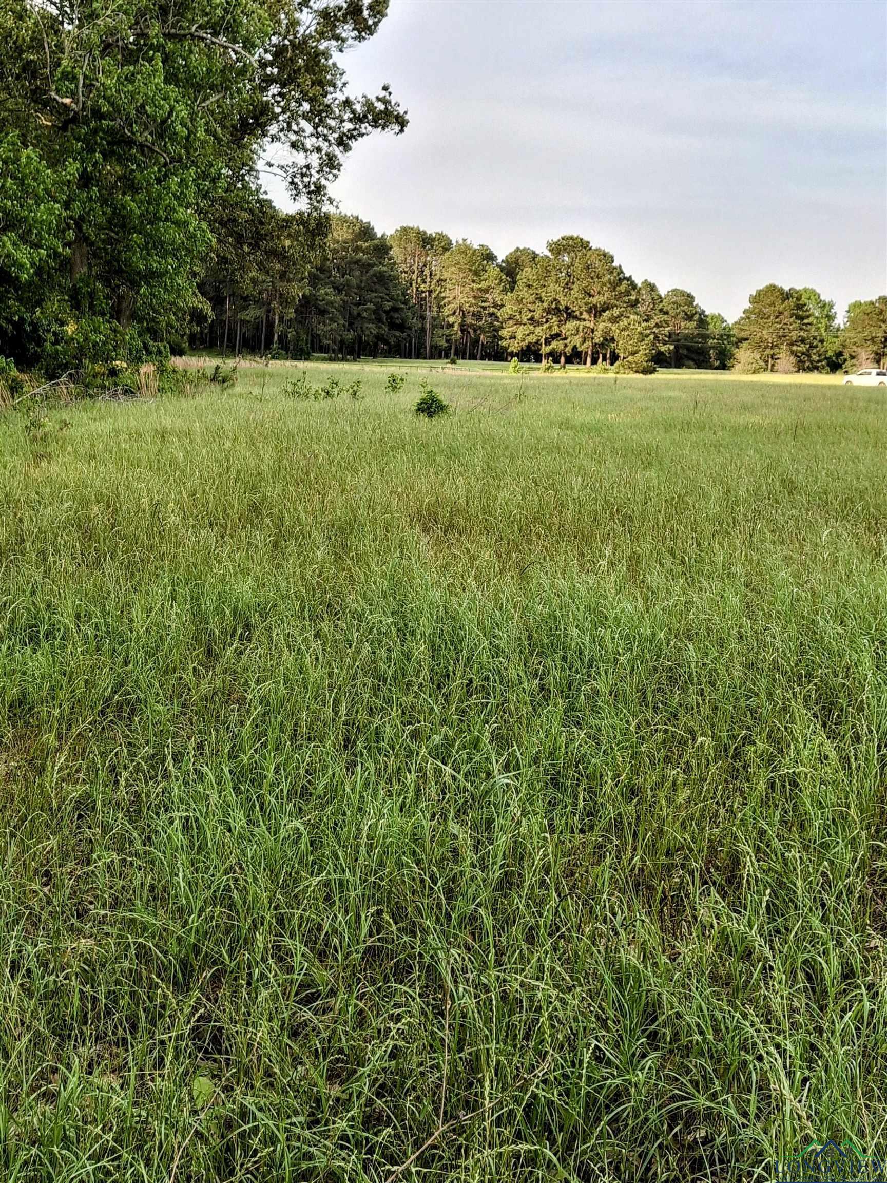 P-15OFF Sh 315, Mount Enterprise, TX 75681 - photo 4