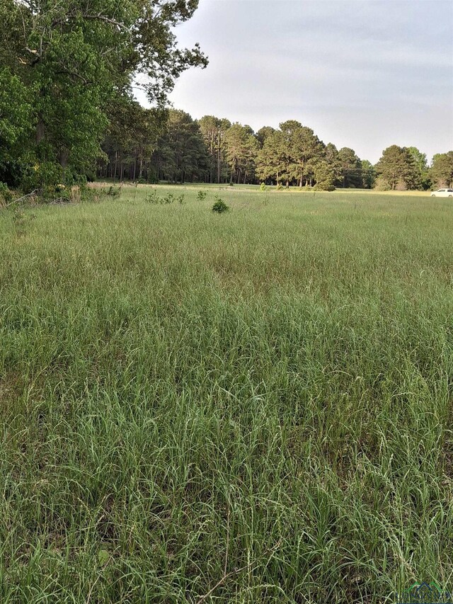 P-15OFF Sh 315, Mount Enterprise, TX 75681 - photo 14