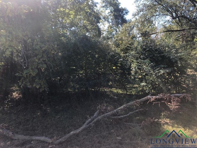 1208 Raney St, Longview, TX 75602 - photo 1