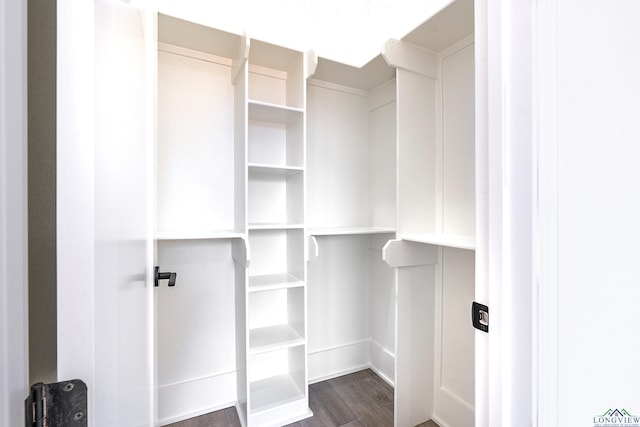 spacious closet with dark hardwood / wood-style floors