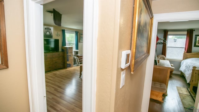 corridor featuring wood finished floors and plenty of natural light