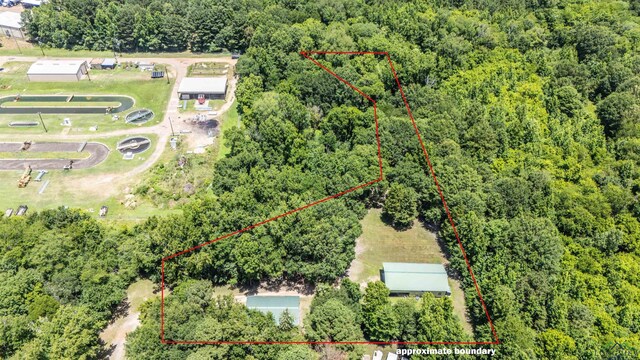 226 Almand, Waskom, TX 75692 - photo 32