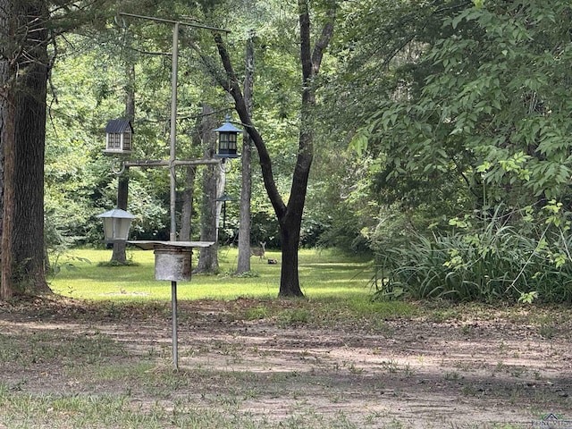 226 Almand, Waskom, TX 75692 - view of yard