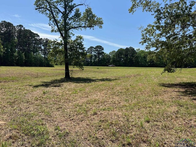 3.5ACRE Indian Spgs, Marshall, TX 75672 - photo 7