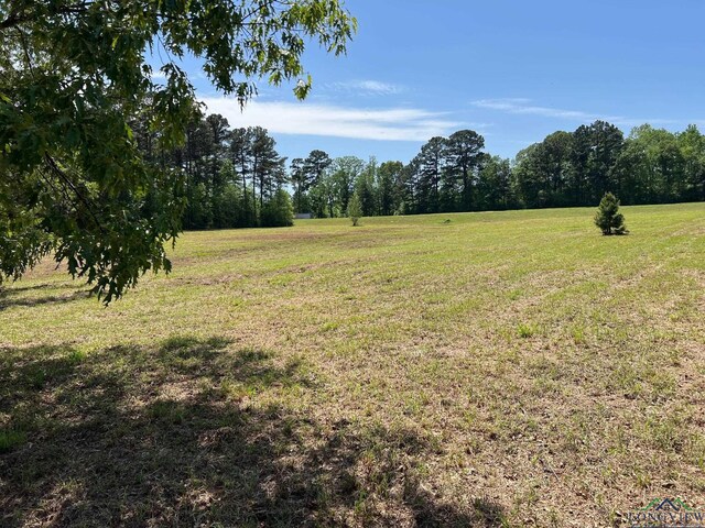 3.5ACRE Indian Spgs, Marshall, TX 75672 - photo 6