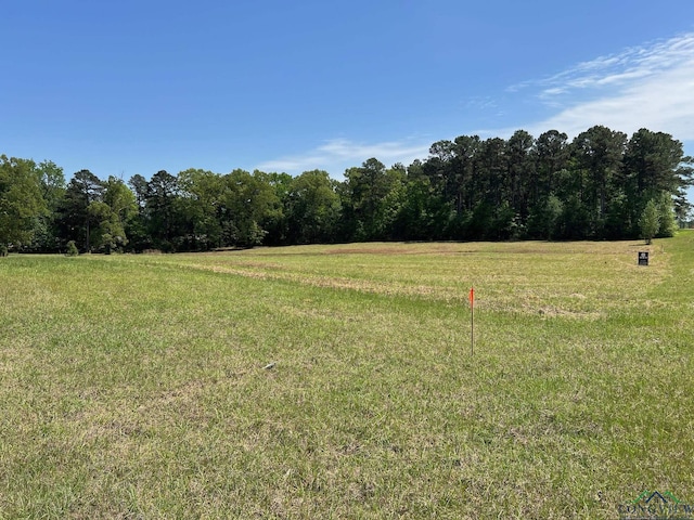3.5ACRE Indian Spgs, Marshall, TX 75672 - photo 2