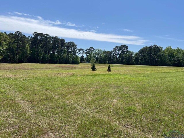3.5ACRE Indian Spgs, Marshall, TX 75672 - photo 3