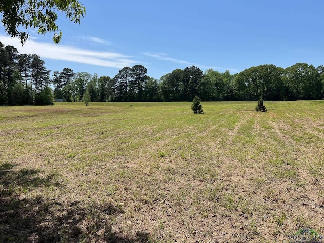 3.5ACRE Indian Spgs, Marshall, TX 75672 - photo 4