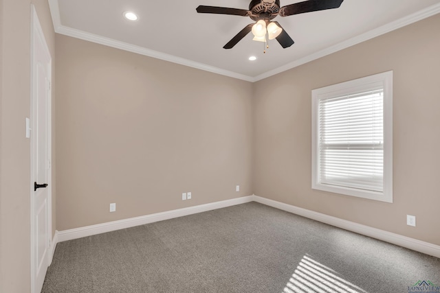 spare room with carpet, ceiling fan, and ornamental molding