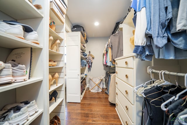 spacious closet featuring dark wood-type flooring