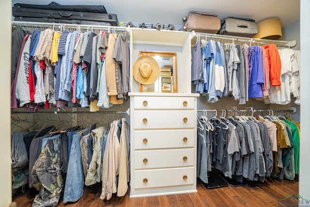 walk in closet with dark wood-type flooring