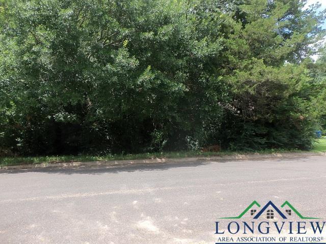 3411 Larkspur Ln, Kilgore, TX 75662 - photo 4