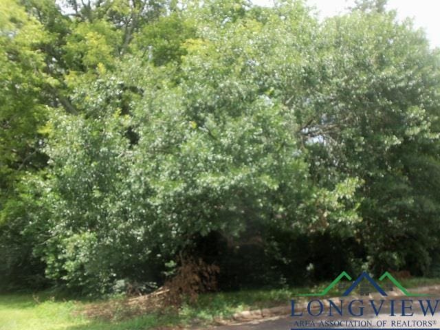 3411 Larkspur Ln, Kilgore, TX 75662 - photo 1