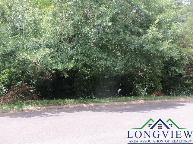 3411 Larkspur Ln, Kilgore, TX 75662 - photo 2