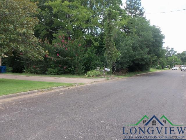 3411 Larkspur Ln, Kilgore, TX 75662 - photo 6