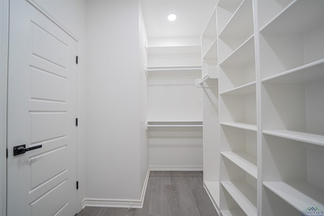 walk in closet featuring hardwood / wood-style flooring