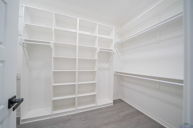 spacious closet with wood-type flooring