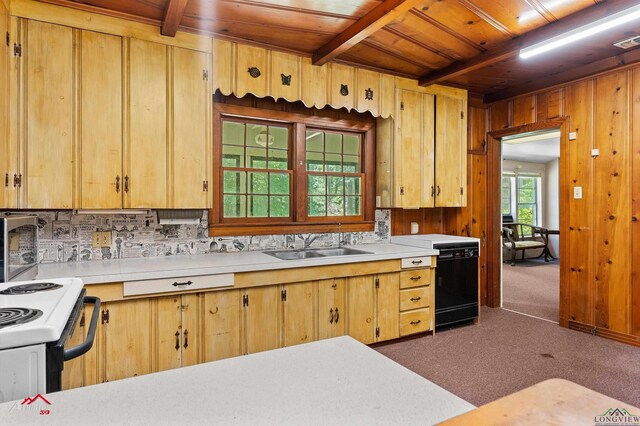 512 W Country Club Rd, Hallsville, TX 75650 - photo 12