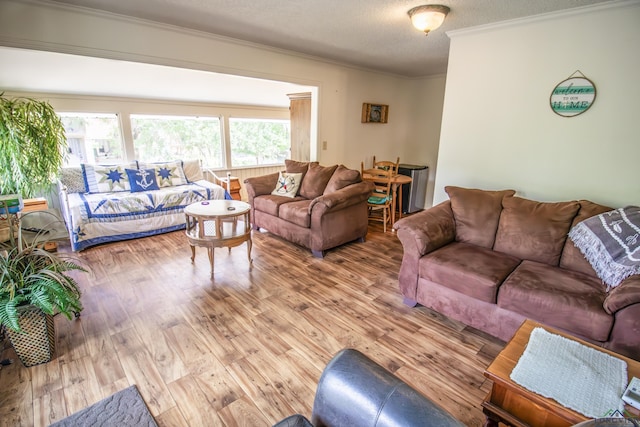living area with wood finished floors, a textured ceiling, and crown molding