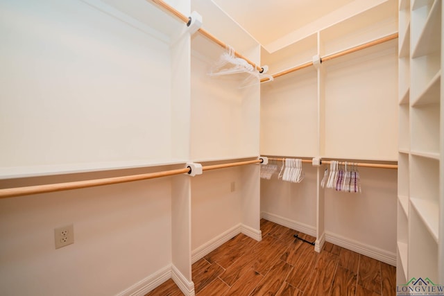 spacious closet with wood-type flooring