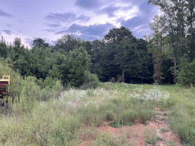 643 Dogwood, Waskom TX, 75692 land for sale