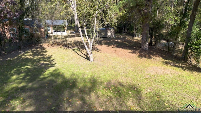 view of yard with a storage shed