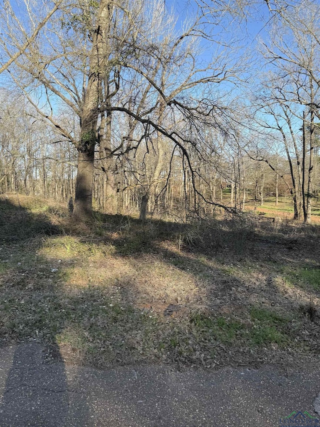 TBD Seal St, Gilmer TX, 75644 land for sale