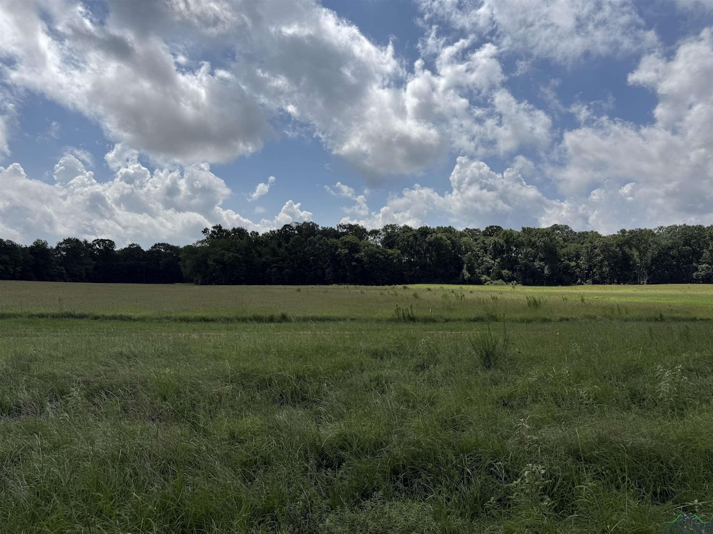 TBD Cr 317, Henderson, TX 75654 - photo 1