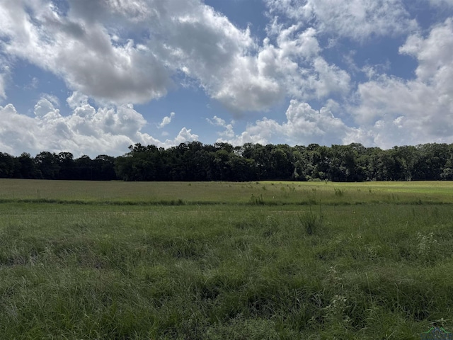 TBD Cr 317, Henderson, TX 75654 - photo 1