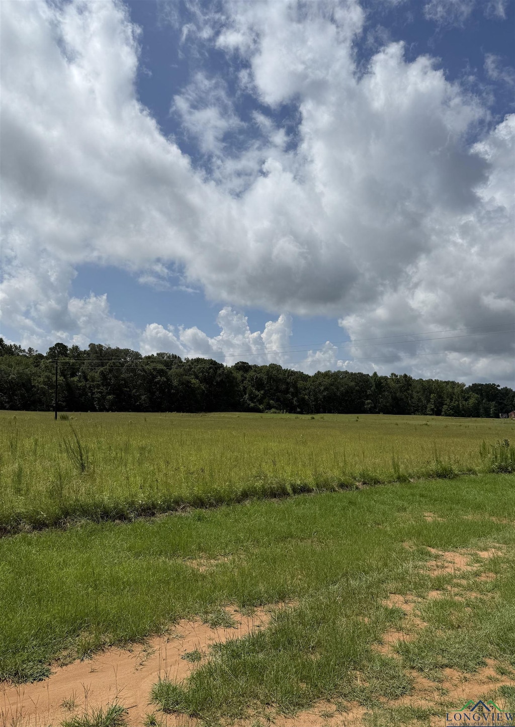 TBD Cr 317, Henderson, TX 75654 - photo 3