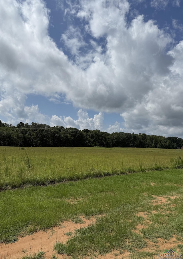 TBD Cr 317, Henderson, TX 75654 - photo 3