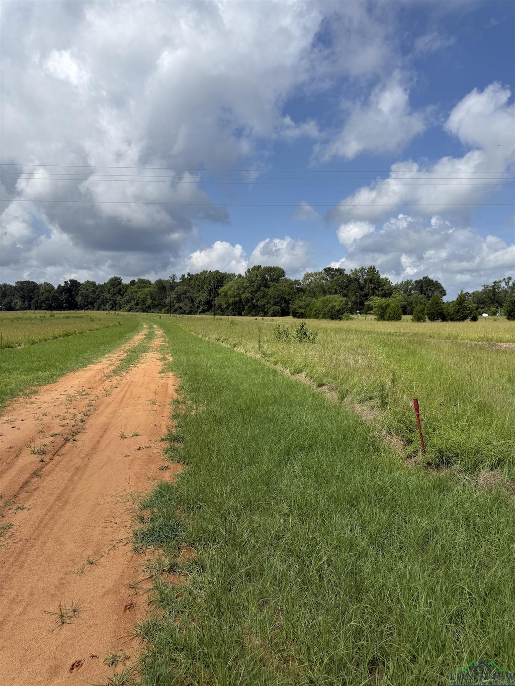 TBD Cr 317, Henderson, TX 75654 - photo 2