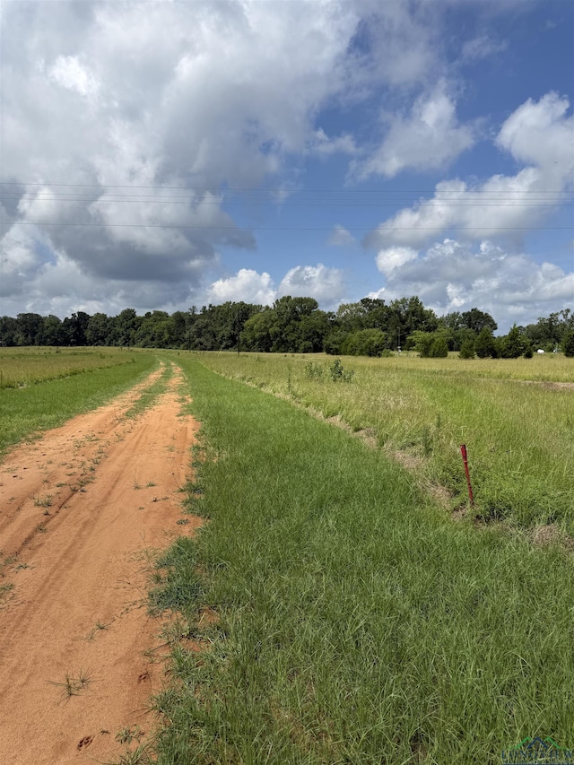 TBD Cr 317, Henderson, TX 75654 - photo 2