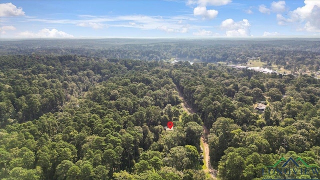 320 Tall Pines Rd, Jefferson, TX 75657 - photo 19
