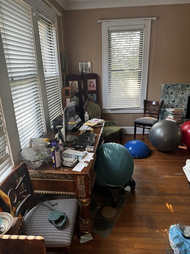 home office featuring hardwood / wood-style flooring