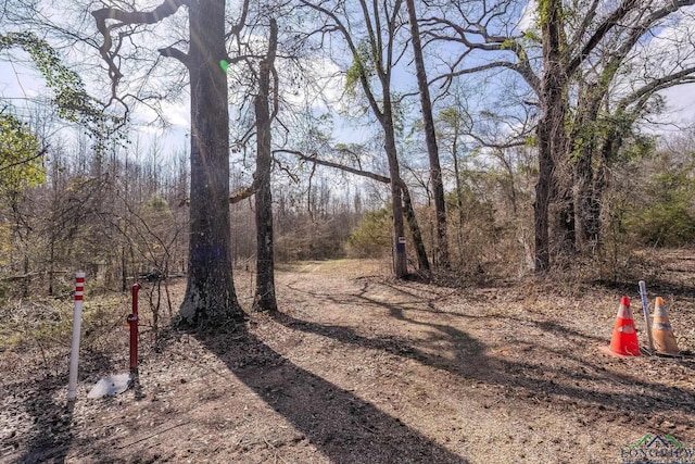 TBD Stevens Rd, Marietta, TX 75566