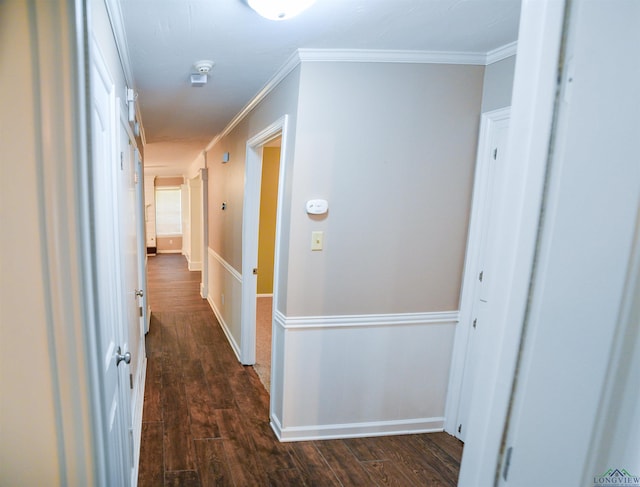 hall featuring crown molding and dark hardwood / wood-style floors