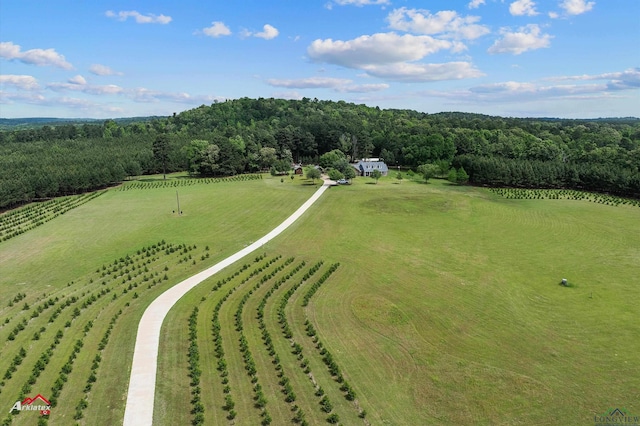 birds eye view of property featuring a rural view and a forest view