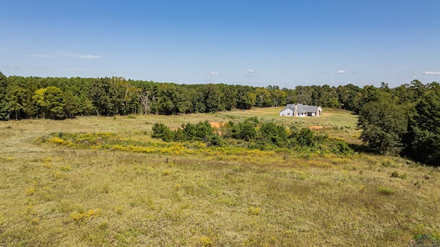 view of local wilderness with a rural view