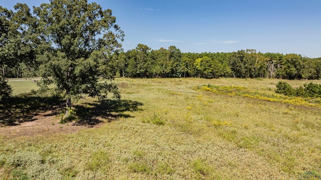 view of landscape featuring a rural view